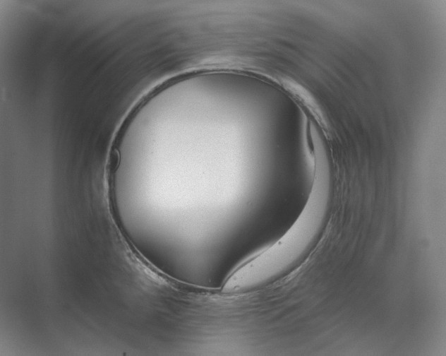 X0000073511288200608140924