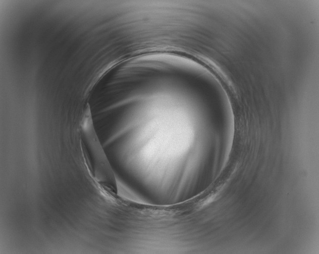 X0000073511289200608140924