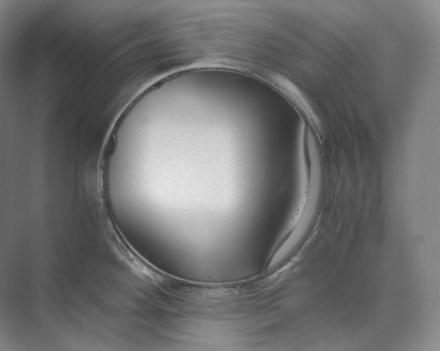 X0000073511292200608140924