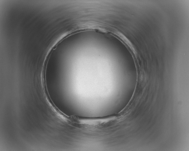X0000073511293200608140924