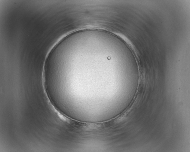 X0000073511294200608140924