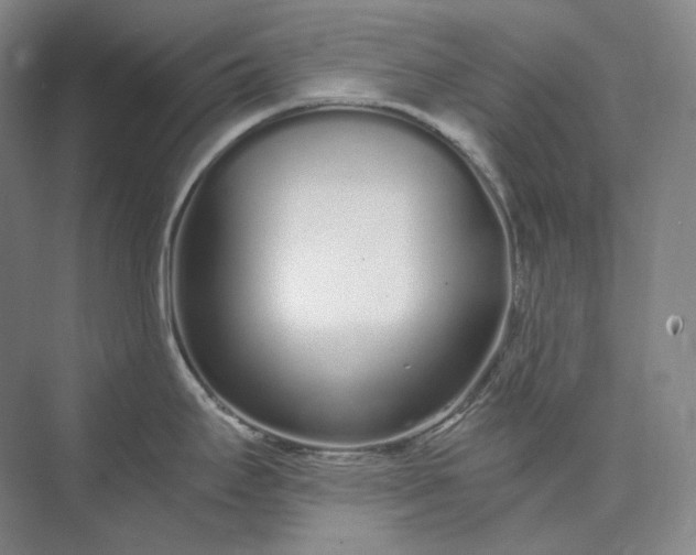 X0000073511295200608140924