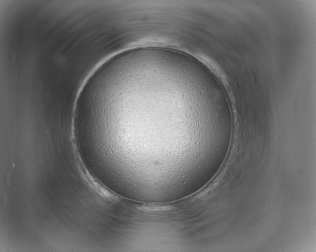 X0000073511296200608140924