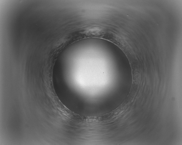 X0000073511297200608140923
