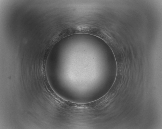 X0000073511298200608140923