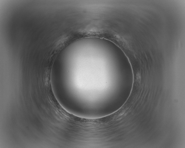 X0000073511300200608140923
