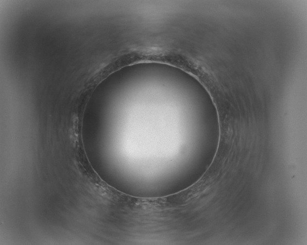 X0000073511301200608140923
