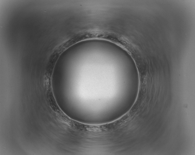 X0000073511302200608140924