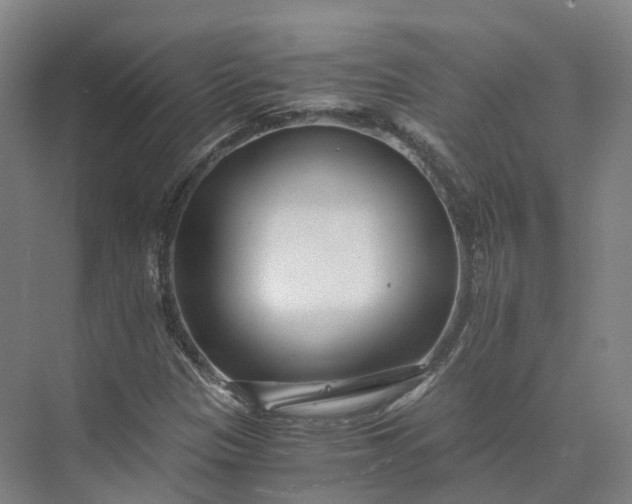 X0000073511305200608140924