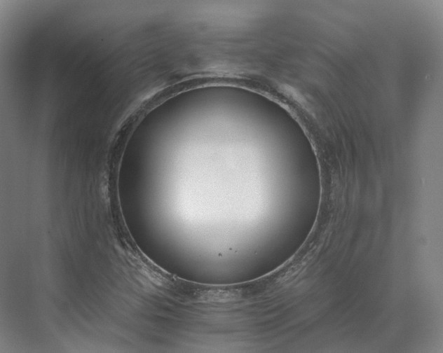 X0000073511307200608140924