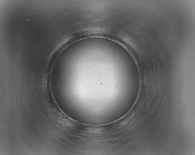 X0000073511309200608140924