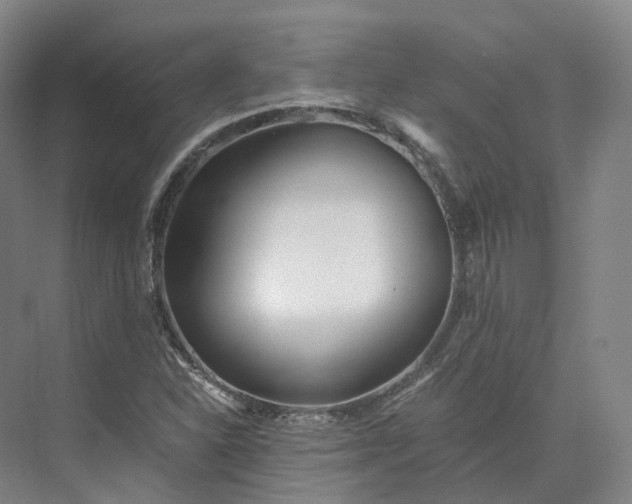 X0000073511310200608140924