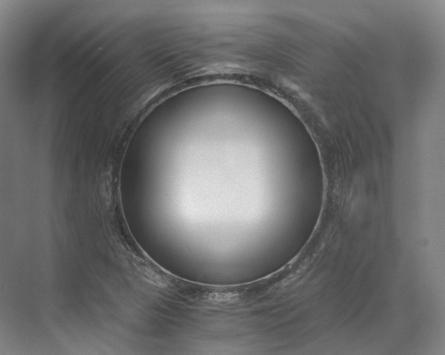 X0000073511313200608140924