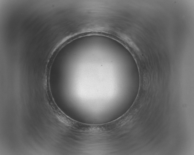 X0000073511316200608140924