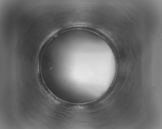 X0000073511317200608140924