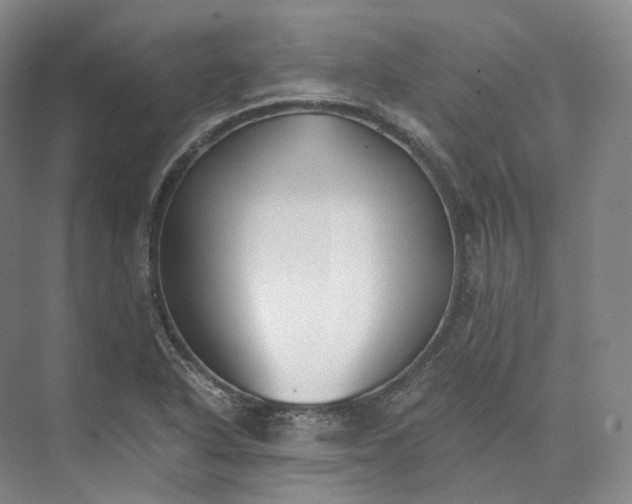 X0000073511318200608140924