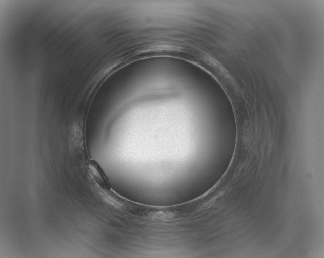 X0000073511321200608140924