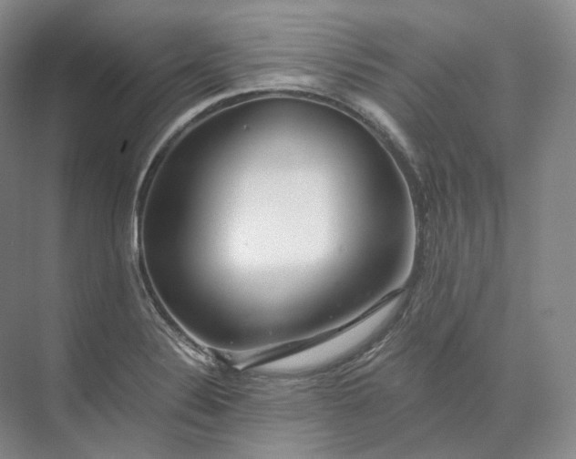 X0000073511324200608140924