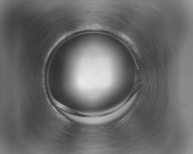 X0000073511326200608140924