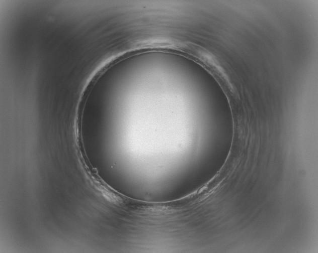 X0000073511328200608140924