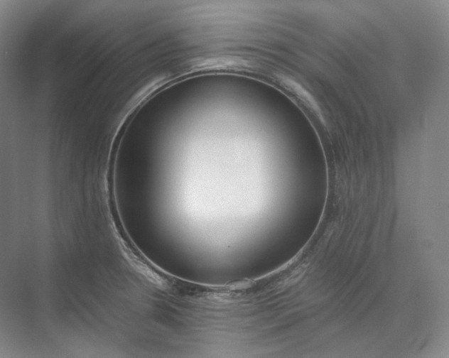 X0000073511330200608140924