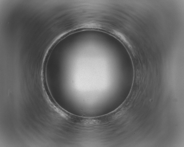 X0000073511331200608140924