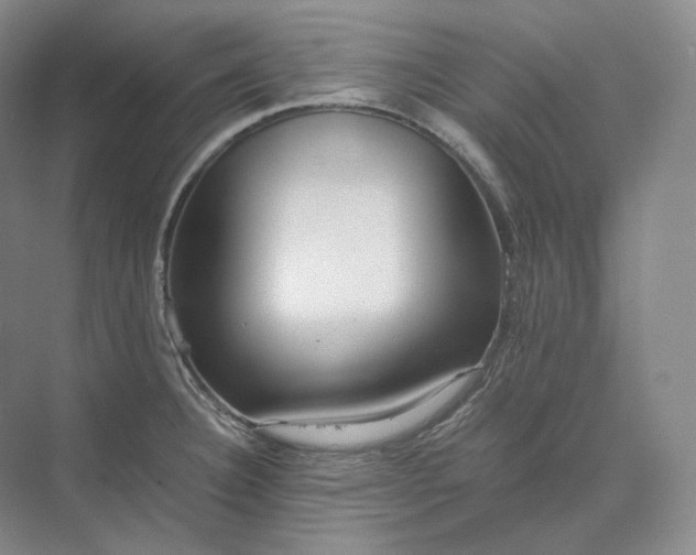 X0000073511332200608140924