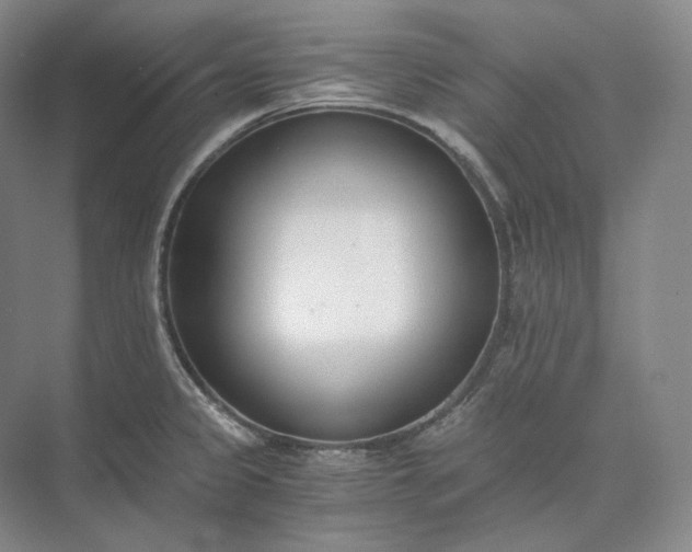 X0000073511333200608140924