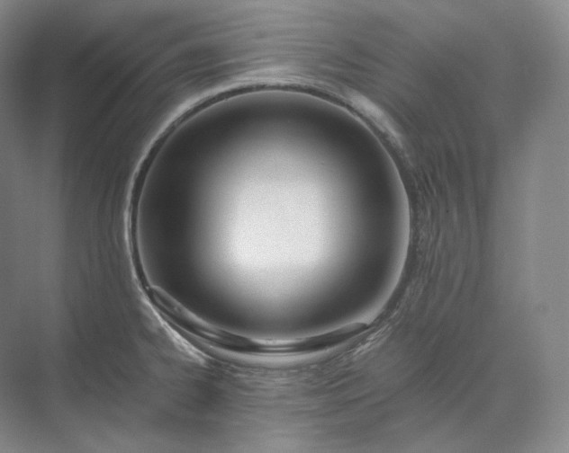 X0000073511334200608140924