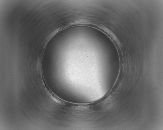 X0000073511337200608140924