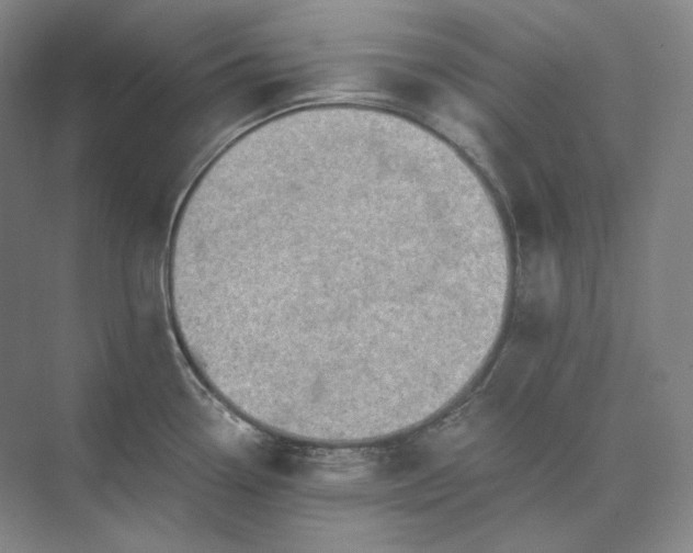X0000073511338200608140924