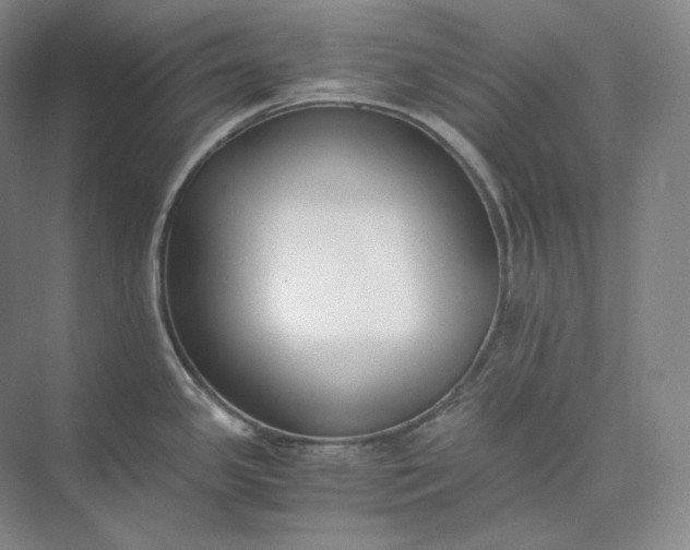 X0000073511341200608140924