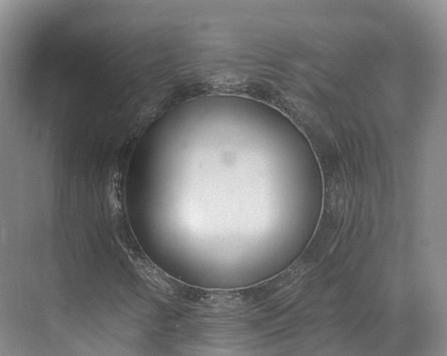 X0000073511346200608140923