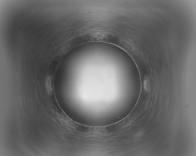 X0000073511347200608140923