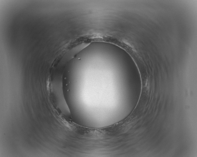 X0000073511348200608140923