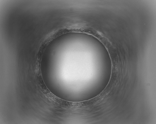 X0000073511350200608140923