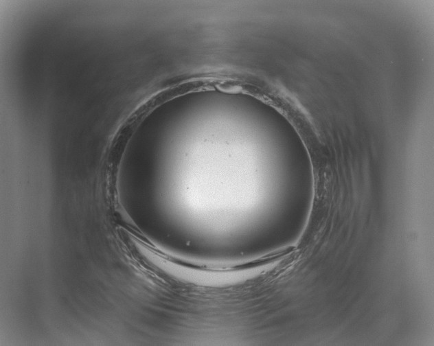 X0000073511352200608140923