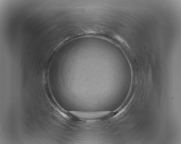 X0000073511353200608140923