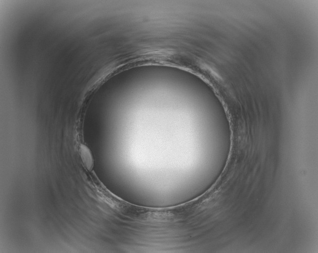 X0000073511354200608140923