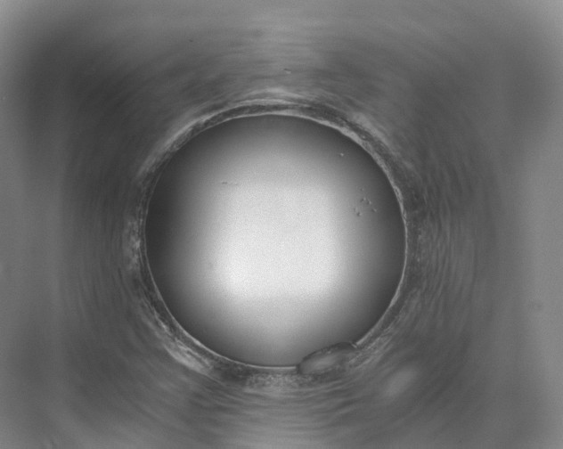 X0000073511355200608140923