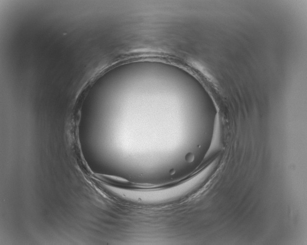 X0000073511357200608140923