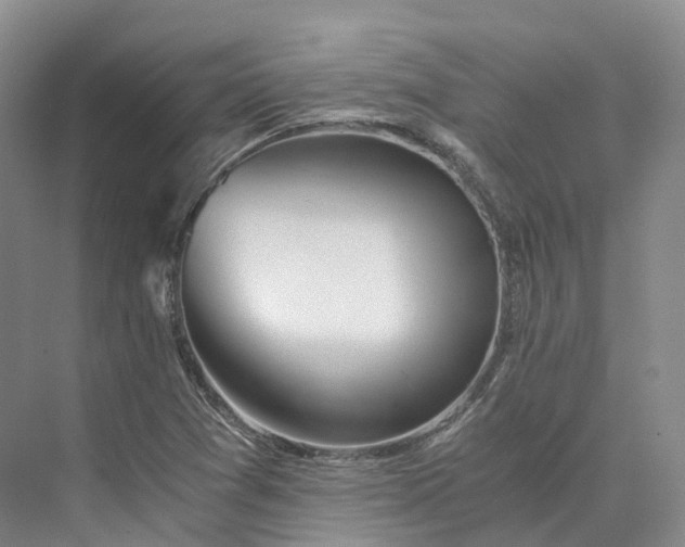 X0000073511361200608140923