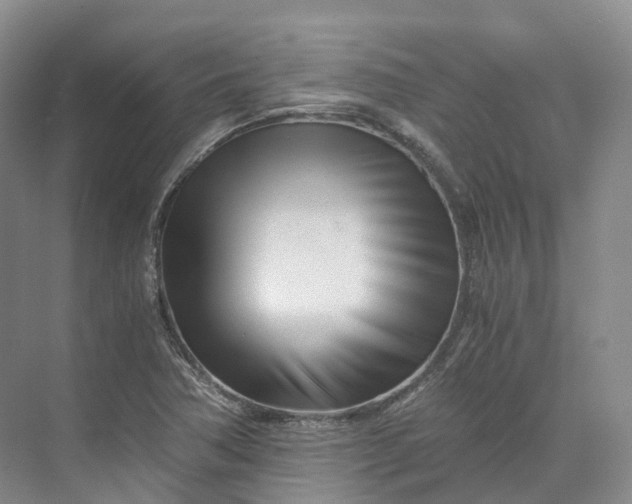 X0000073511362200608140923