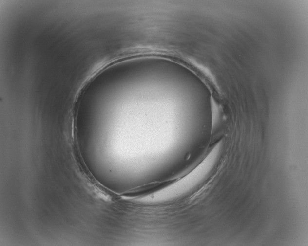 X0000073511365200608140923