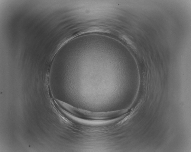 X0000073511369200608140923