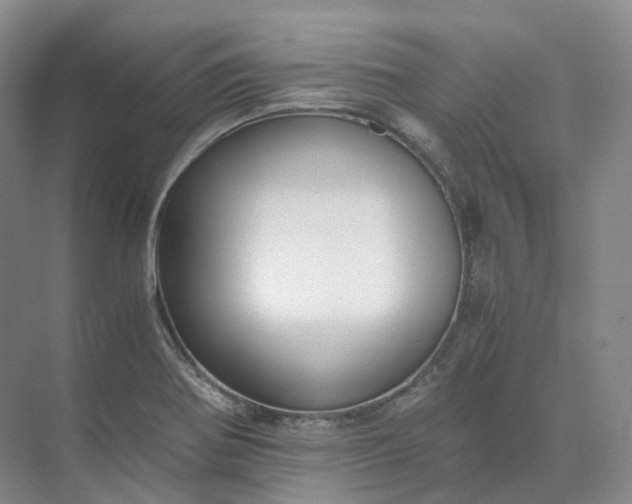 X0000073511370200608140923