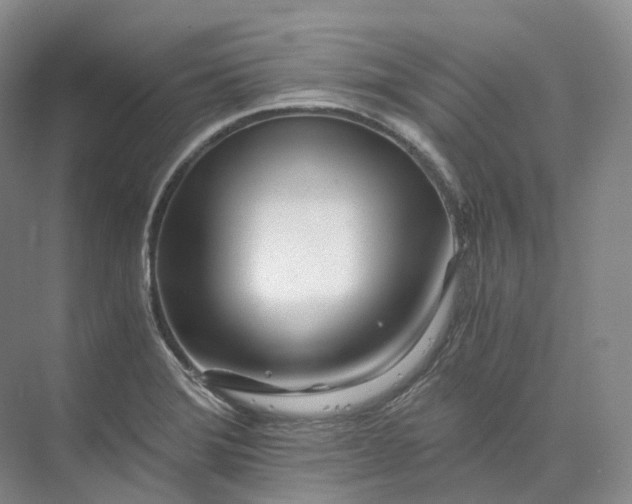 X0000073511372200608140923