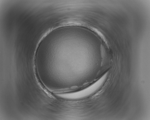 X0000073511373200608140923