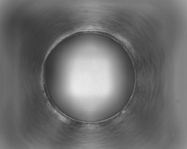 X0000073511374200608140923