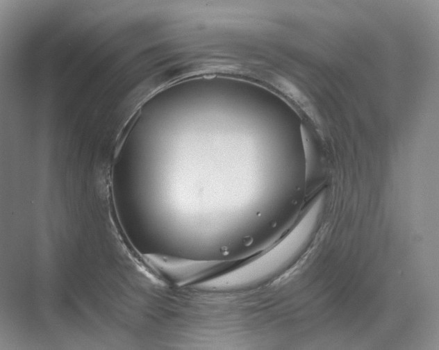 X0000073511377200608140923
